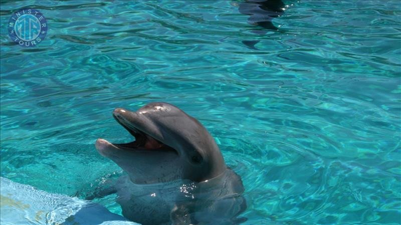 Dolphinarium Datca5