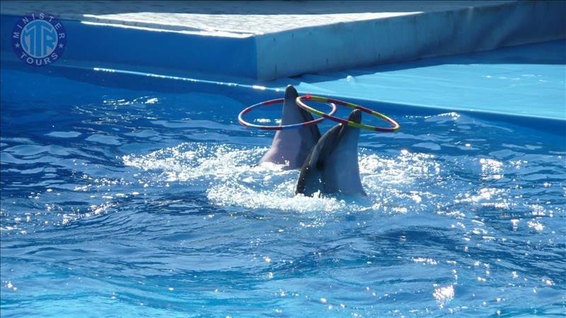 Dolphinarium Datca6