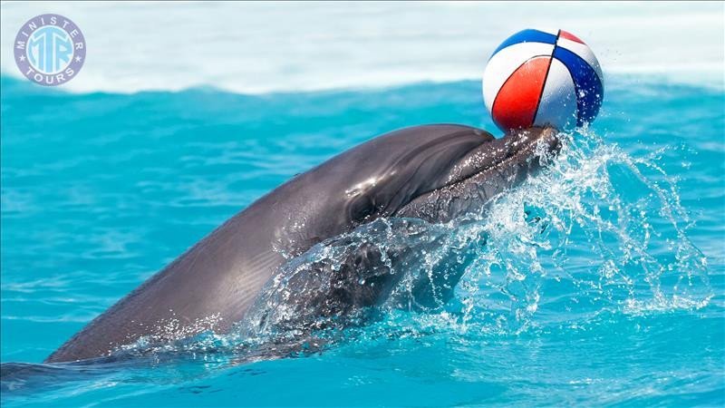 Dolphinarium Datca7