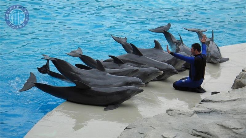 Dolphinarium Datca8