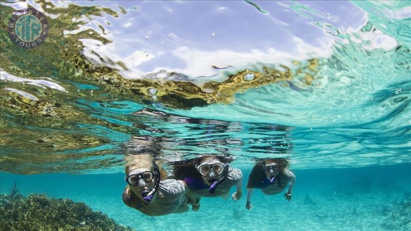 Snorkeling Tour in Turunc1