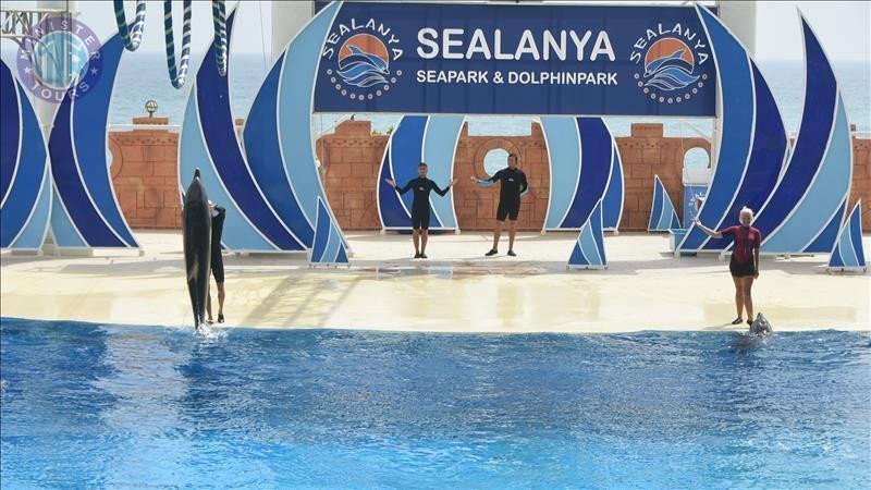 Delfinarium Konaklı0