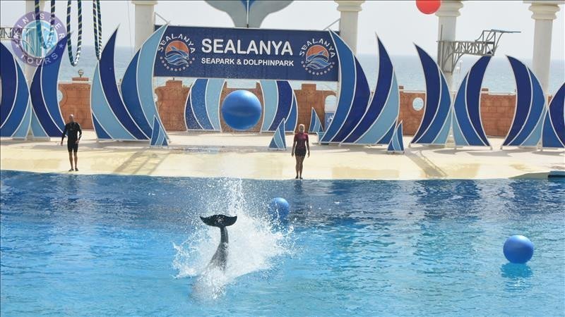 Dolphin park in Alanya2