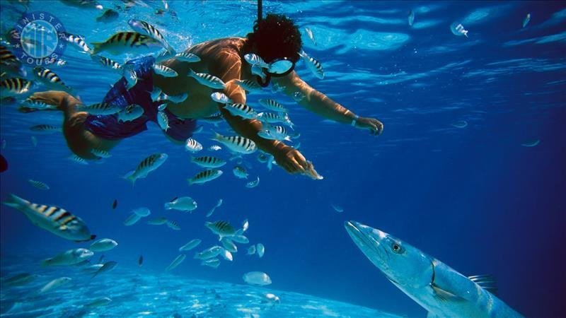 Snorkeling in Turkler0