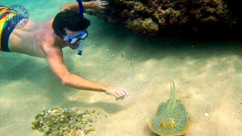 Snorkeling in Alanya4