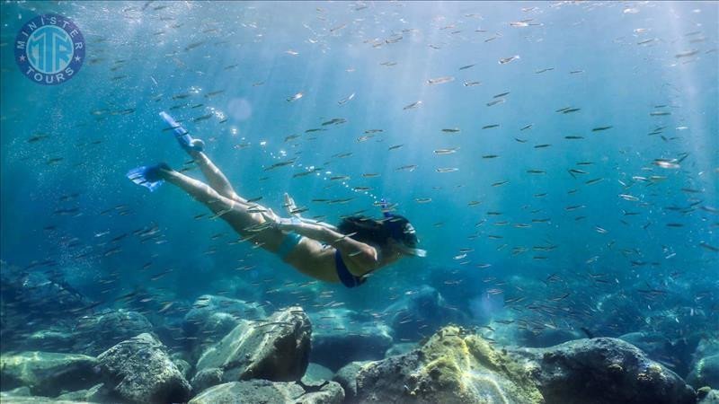 Snorkeling in Kargicak5