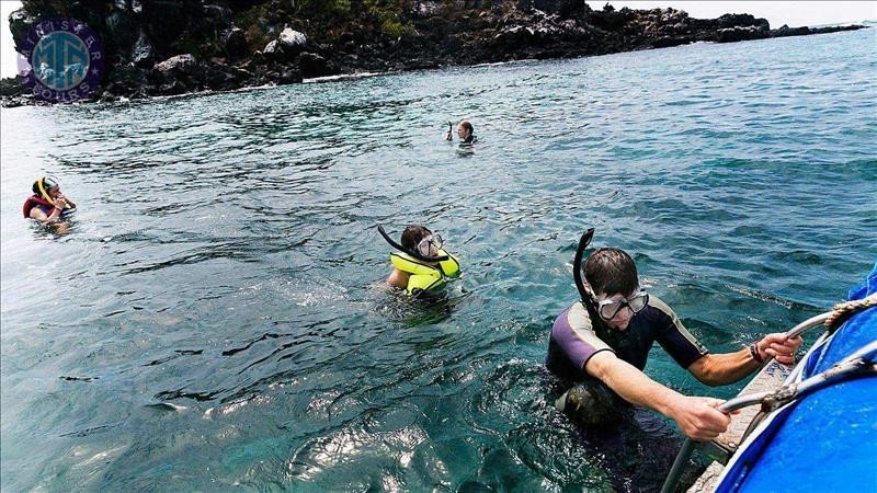 Snorkeling in Alanya9