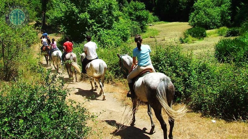 Kargicak horseback safari0