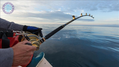 Sea Fishing İn Titreyengol Turkey